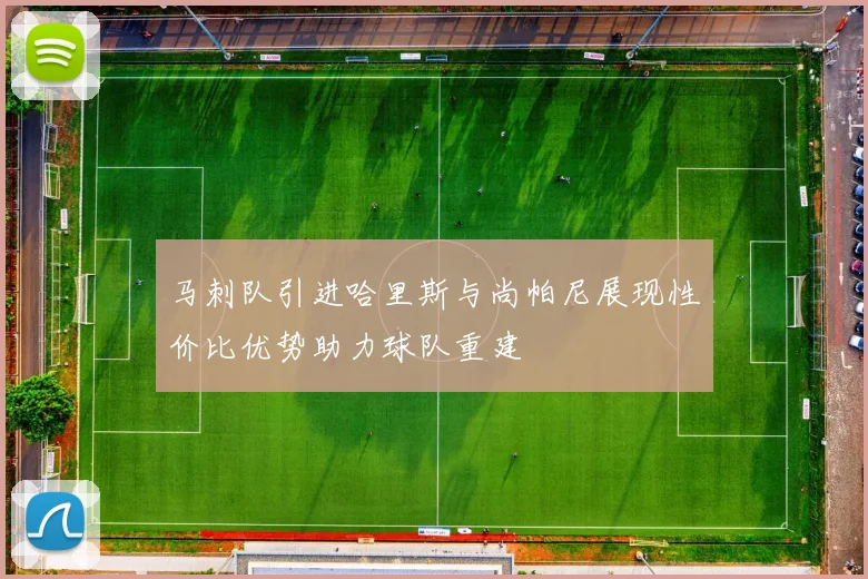 马刺队引进哈里斯与尚帕尼展现性价比优势助力球队重建